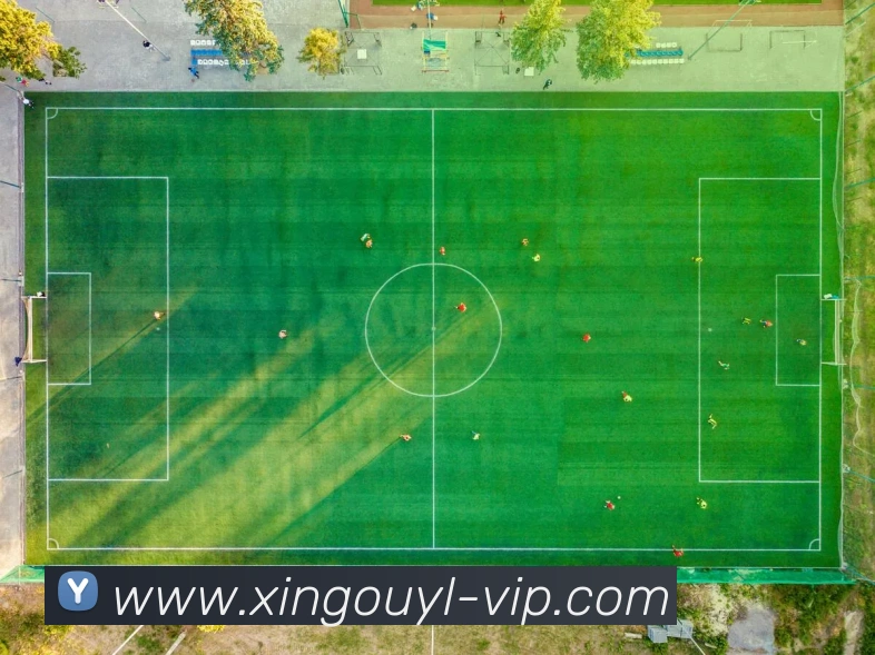 星欧娱乐APP 封面图
